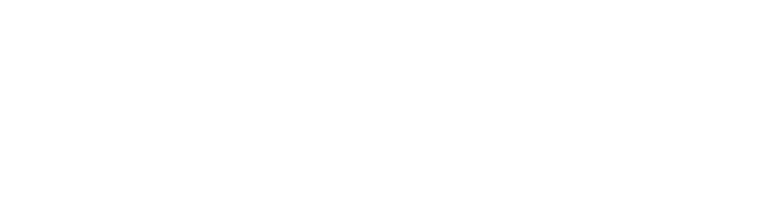 Flow State Leadership